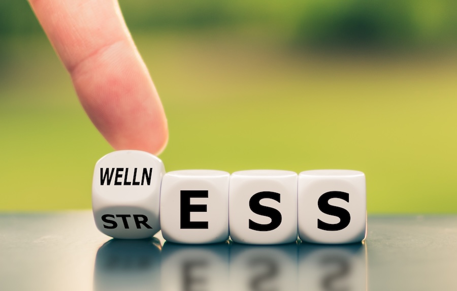 stress to wellness blocks for stress and oral health
